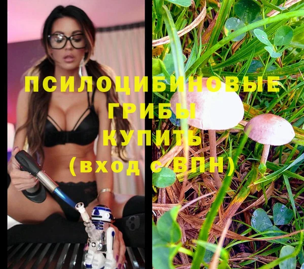 экстази Алексеевка